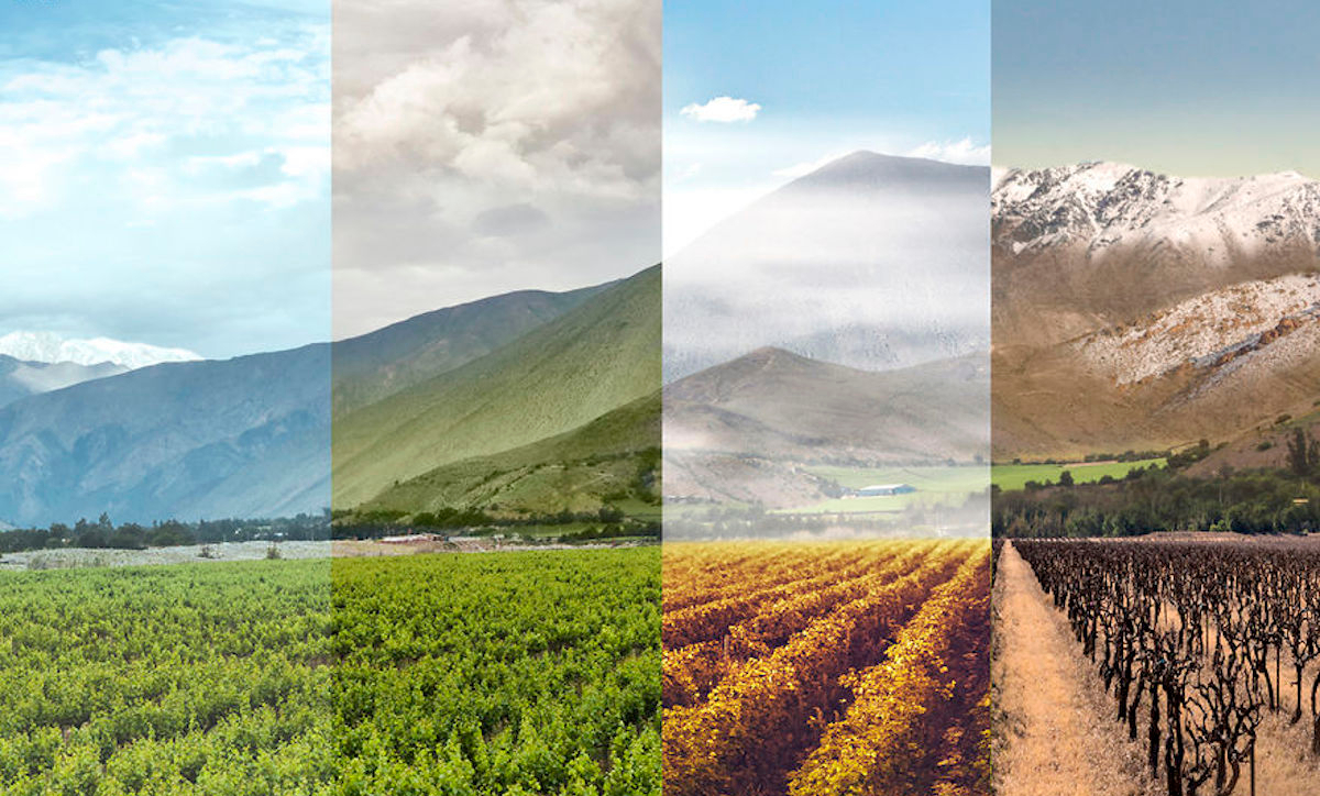 Saisonnalité de la cession d'entreprise